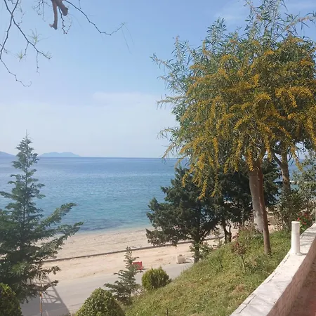 Xhevo 2025 Apartment Vlore